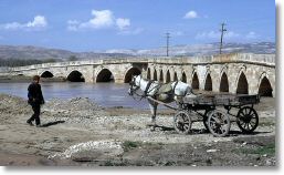13576_bridge_near_sivas_with_horse_and_cart_9-apr-1.jpg